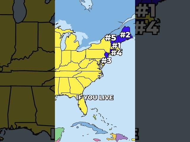 This US State is the Most DANGEROUS! #geography #maps #usa