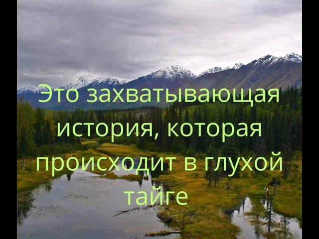 "Это захватывающая история, которая происходит в глухой тайге.