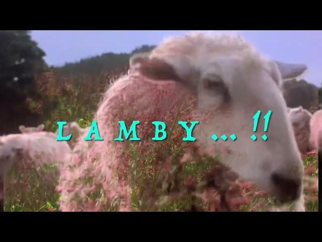 ‘LOST LITTUL LAMBY’