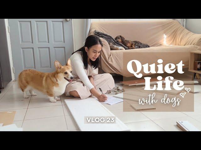 Quiet and Peaceful | Living the Slow and Simple Life with our Dogs