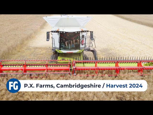 Harvest 2024 | PX Farms in Cambridgeshire, feat. Claas Combines