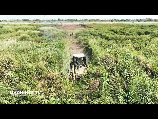 Excellent Technique Skills Operator Bulldozer Land Clearing Brush Strong Power Pushing Moving