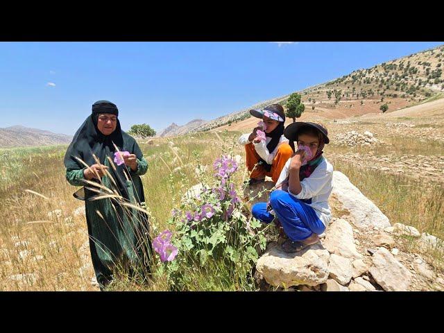 Grandma's Unyielding Love: Grooming Two Orphans: Harvesting Edible Wheat from the Field