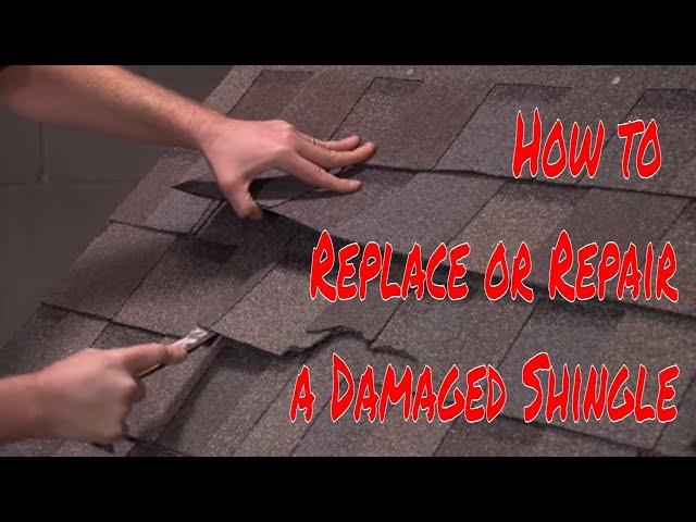 How to Replace or Repair a Damaged Shingle by RoofingIntelligence.com