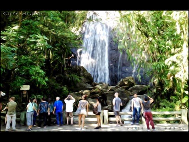 LA COCA FALLS, El Yunque National Rainforest of Puerto Rico