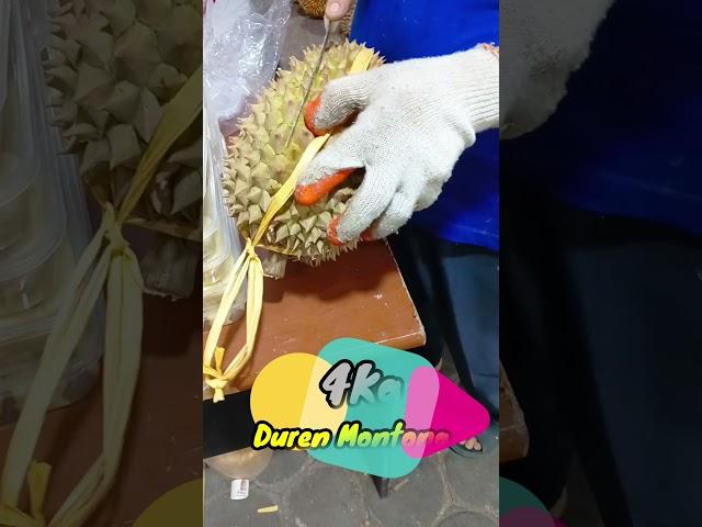 MANTAB NIH...!!  Durian Montong Super Tebal Dagingnya #shorts