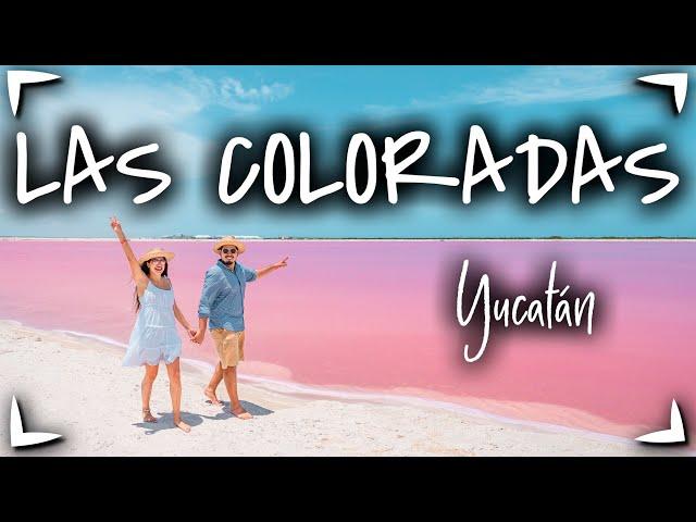 Las Coloradas YUCATAN y Rio Lagartos  GUIA COMPLETA ► Que hacer, precios, hospedaje 🟡 Vale la PENA?