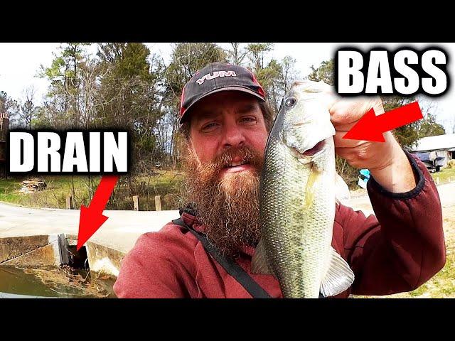 Now is The Time to Start Bass Fishing! (Catching Bass By the Drain)