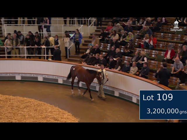 Mogul selling for 3,400,000gns at Book 1 of the October Yearling Sale