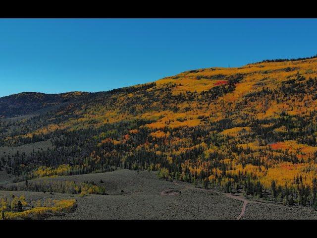 Autumn Mountain - A Bird's Eye View of the Stunning Colors of Fall in Fishlake National Forest