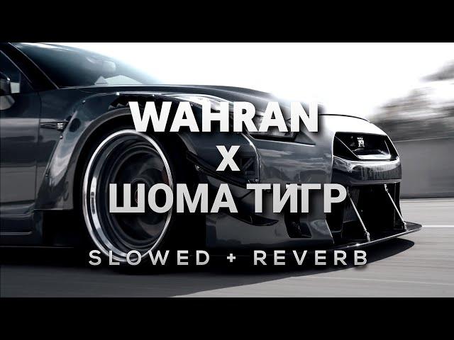 Randall Wahran x Asanrap Шома тигр [Slowed + Reverb]