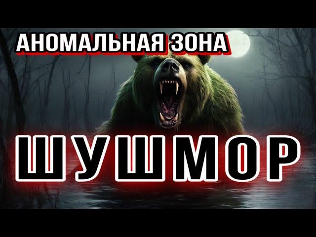 ШУШМОР. АНОМАЛЬНАЯ ЗОНА. Мистика. Майк Гелприн. История на ночь. Лес. Страшные истории