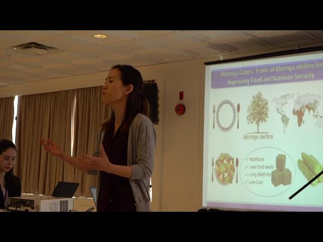 3MT First Place Winner - Kiki Chan - WISENC18