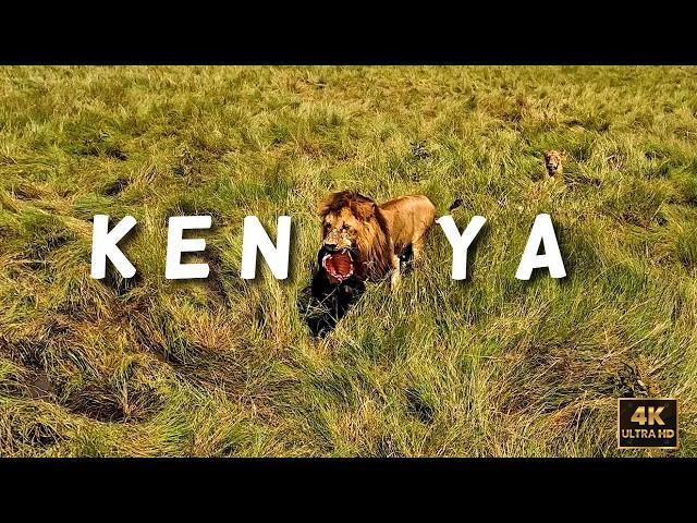 Maasai Mara & Nairobi | A Complete Guide | Kenya 2024 | Two Off To