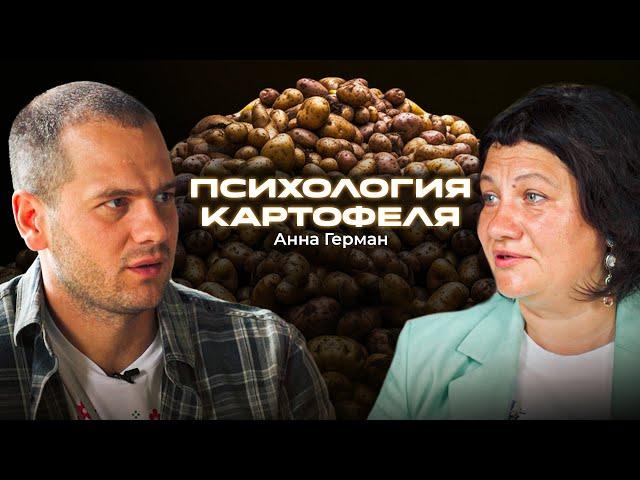 Почему картофель разумнее нас? Анна Герман — про деньги, мотивацию и команду работающую без давления