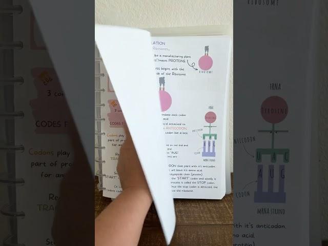 Protein synthesis | Biology