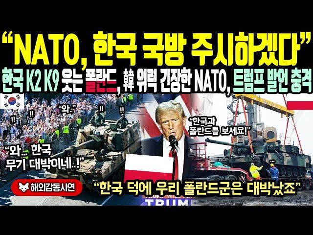 《해외감동사연》"NATO 한국 국방 주시하겠다" 한국 K2 K9 웃는 폴란드, 한국 무기 위력에 긴장한 NATO, 트럼프 발언 충격