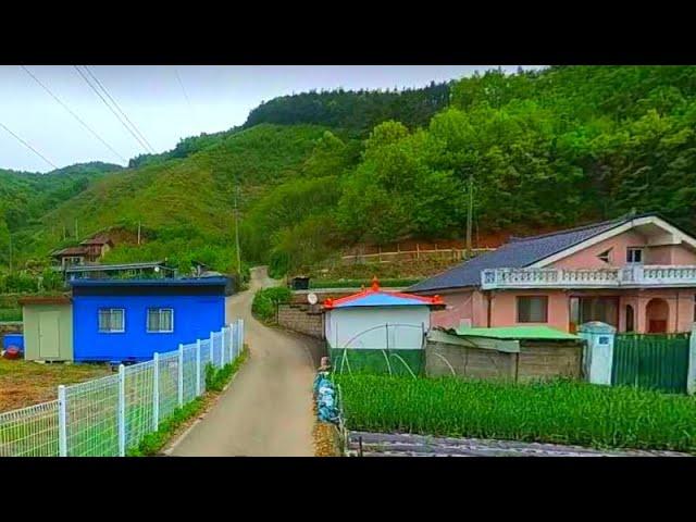 경매직전,넓은농원,땅,몽땅드려요~당1만2천원,체류형쉼터,컨테이너,호두나무,개복숭아,개나리,영산홍,헛깨나무,주말농장,임야,급매물부동산 매매,급매물과 반값매매/010-7923-3663