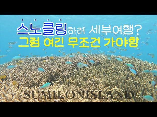 세부여행 스노클링 원탑 수밀론 저렴하게 가는 방법 | EP 5