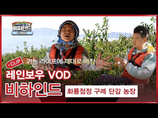 [레인보우TV] CMB 비하인드 화룡점정 구례단감농장 편