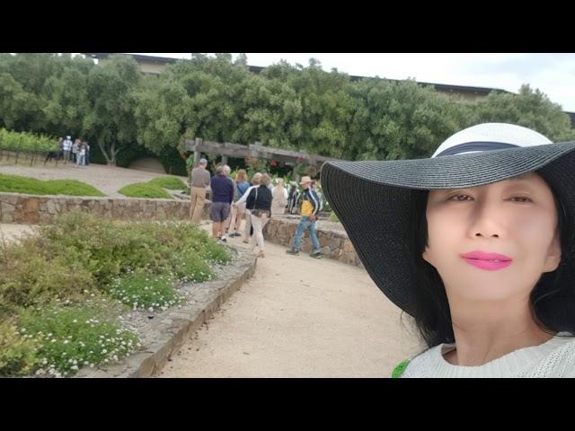 로버트 몬다비 와이너리 투어