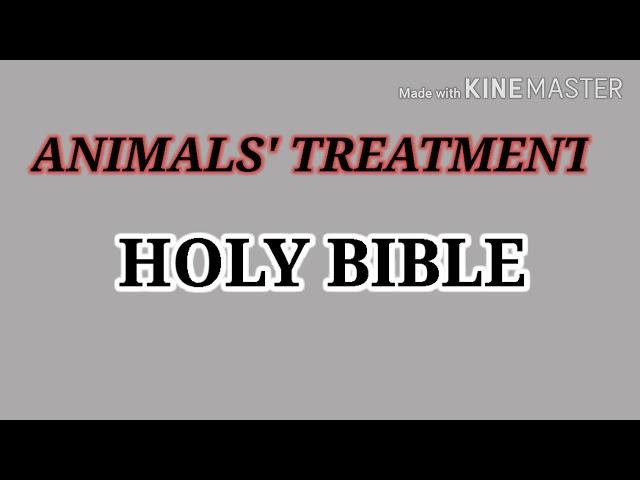 Animals' Rights in Bible