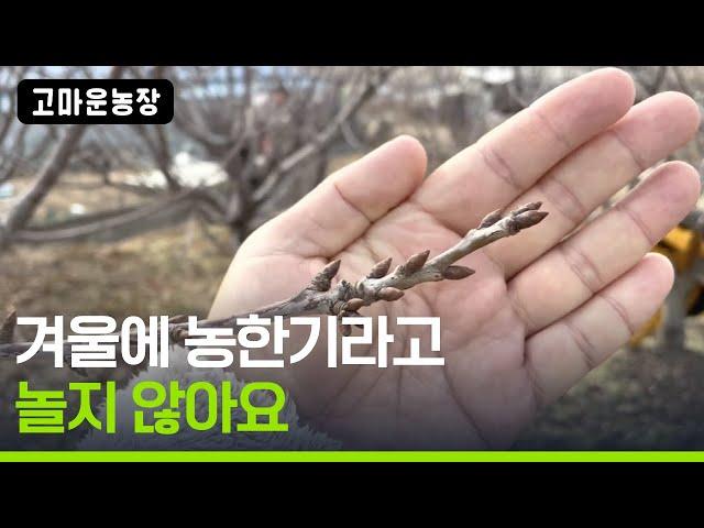 겨울은 다음 해를 준비하는 기간입니다 - 고마운 농장