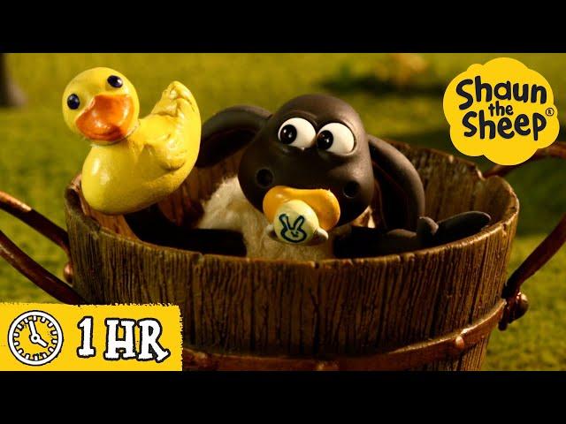 Shaun the Sheep  Timmy's Bath Time & MORE  Full Episodes Compilation