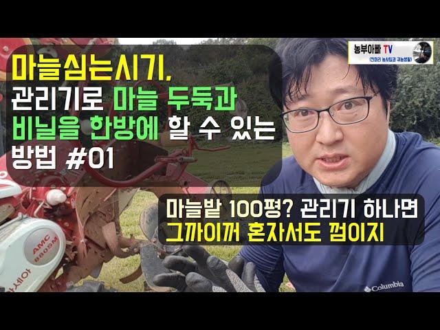 마늘심는시기 & 관리기로 마늘두둑, 비닐 한방에 하는법 #01