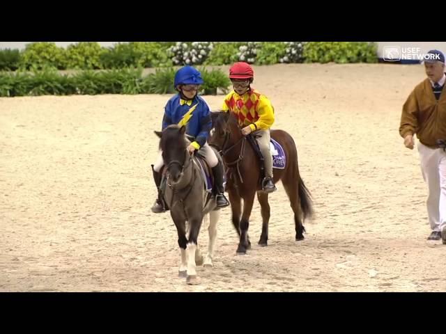 Shetland Pony Race!