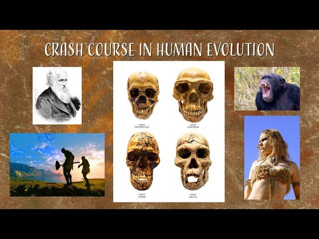 Human Evolution for Conservatives and others on the Right