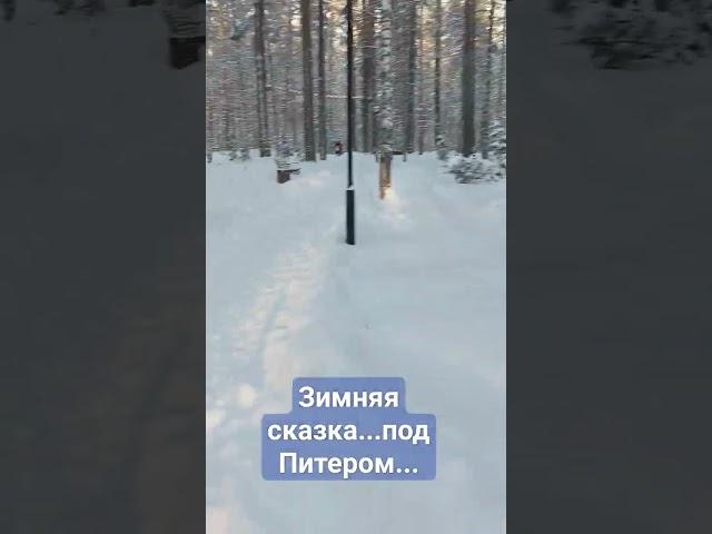 Снежная сказка на базе Радуга.