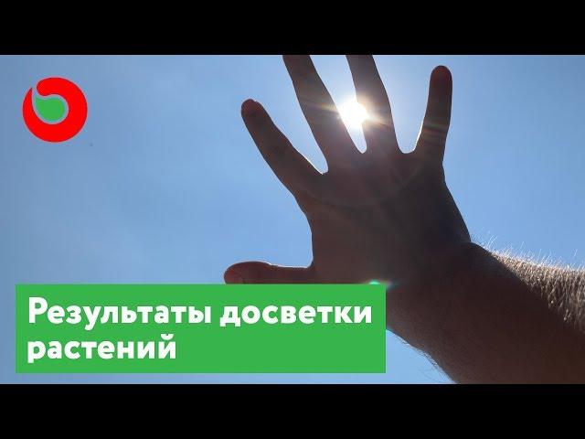 Подсветка рассады. Результаты эксперимента. Фитолампа, фитосвет или светодиодная. Лампа для растений