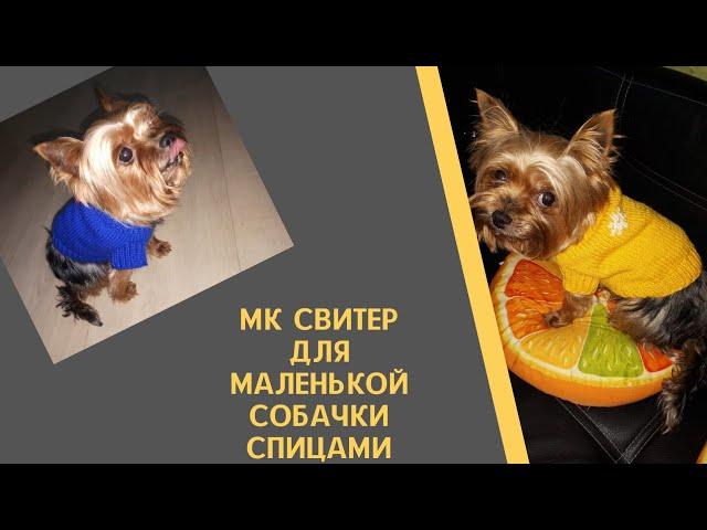 МК на простейший свитер для маленькой собачки.