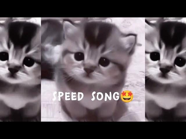 элджей - ребёнок рождённый сиять (speed up/speed song)