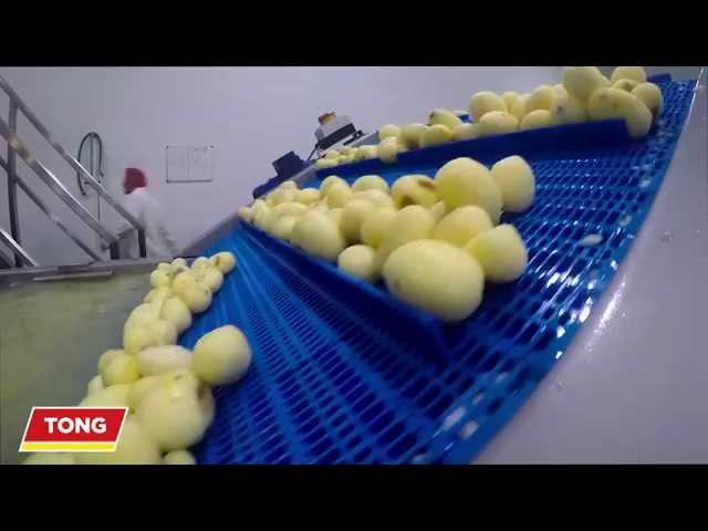 Potato Processing & Peeling Line from Tong Engineering