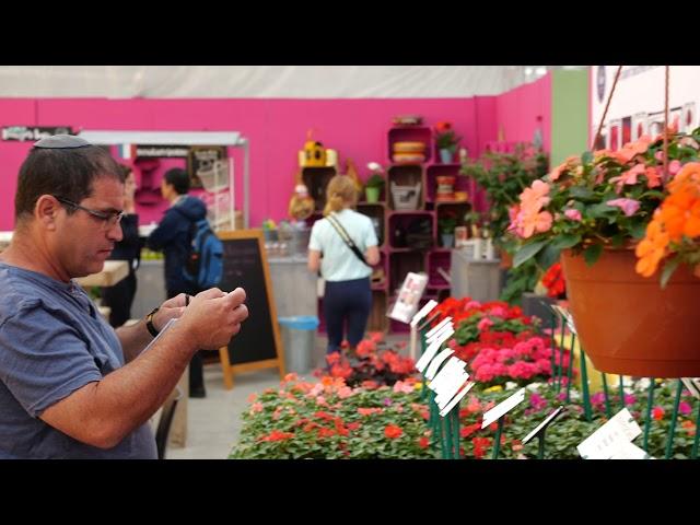 FlowerTrials 2019 PanAmerican Seed