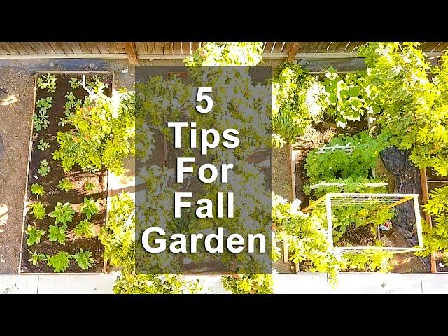 5 Tips to Grow a Lush Fall Garden