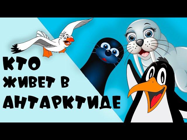 КТО ЖИВЕТ В АНТАРКТИДЕ. Пингвины, киты, тюлени, кашалоты, морские животные - ролик для детей 0+