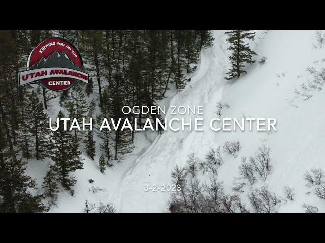 Natural Avalanches on North Ogden Divide    HD 1080p