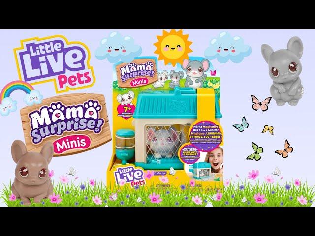 Little Live Pets Mama Surprise Minis: Lil Mouse Unboxing & Playthrough