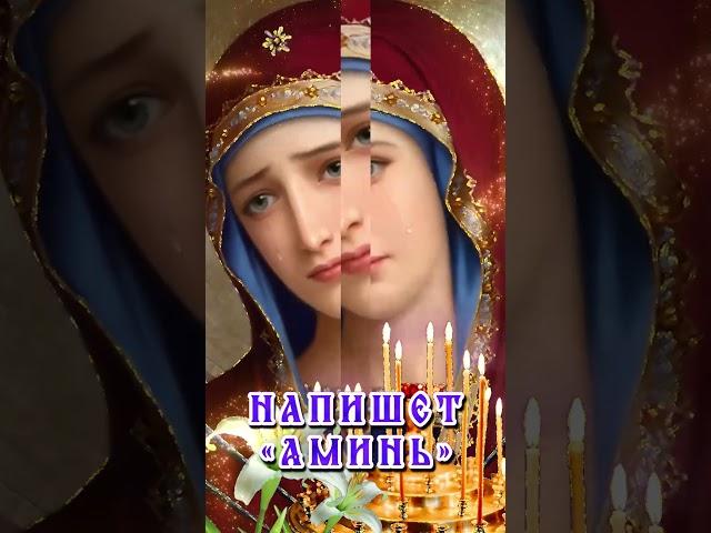 Сегодня прикоснись к Плачущей Богородице — и чудо войдёт в твой дом!