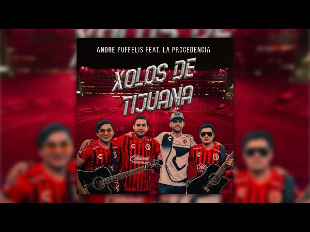 Andre Puffelis  - Xolos De Tijuana Feat.  La Procedencia Official (VIDEO OFICIAL)