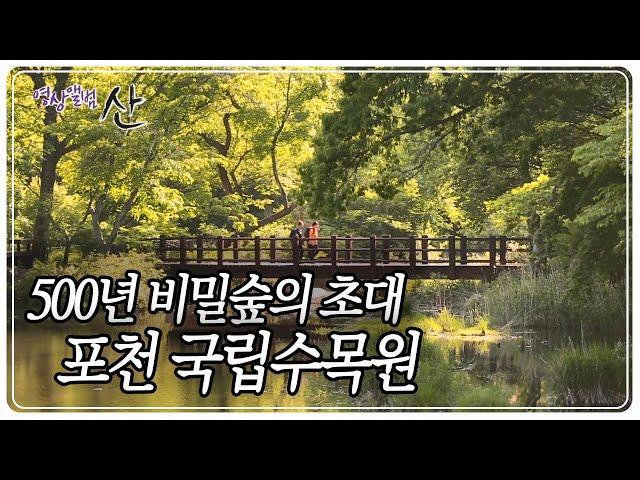 500여 년간 지켜온 비밀의 숲, '포천 국립수목원' [영상앨범 산] KBS 190602 방송