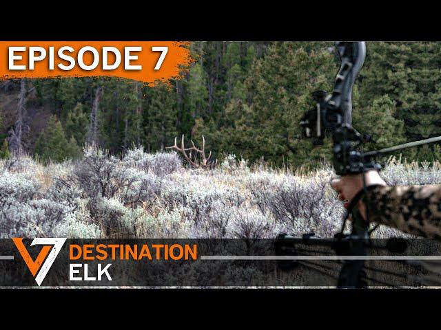 Tapping Out - Episode 7 (Destination Elk V7)