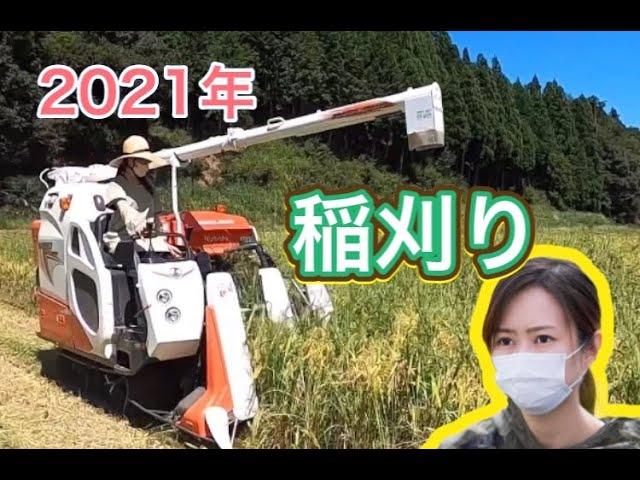 【２０２１】田舎暮し女子の稲刈り