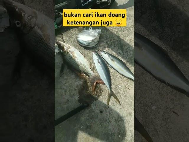 sutreeeek   #lombok #mancing #mancingmania #teluknare #fyp #friendship #weekendvibes