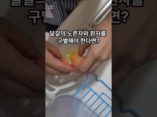 계란 노른자만 쏙쏙! 어떻게?