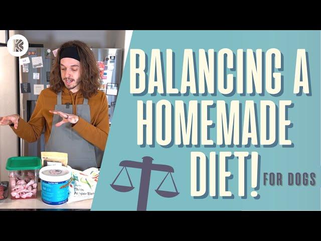 HOW TO BALANCE A HOMEMADE DIET FOR DOGS | The BK Pets Homemade Diet Guide for Dogs