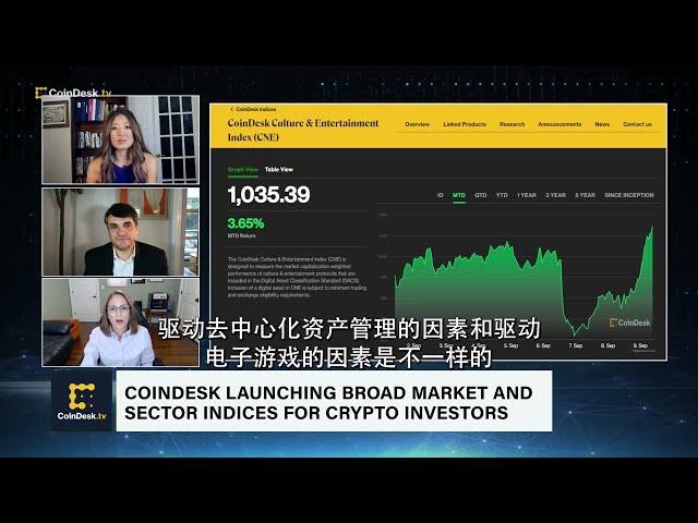 CoinDesk Market Index (CMI) 每个领域的知名项目有哪些？